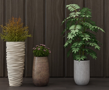 Modern Potted Green Plant-ID:247458932