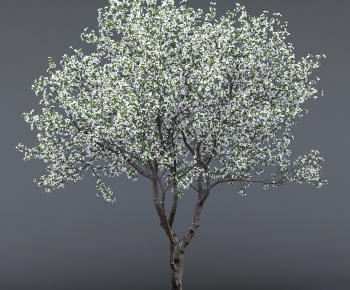 Modern Tree-ID:145427946