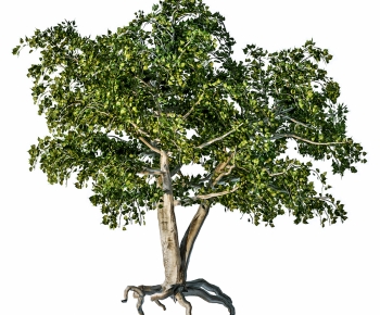 Modern Simple European Style Tree-ID:579169991