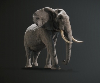 现代动物大象-ID:1379865