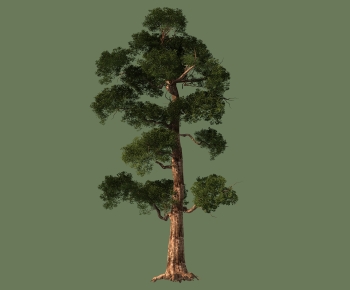 Modern Tree-ID:124078991