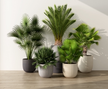 Modern Potted Green Plant-ID:376427893