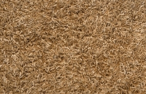 ModernOther Carpets