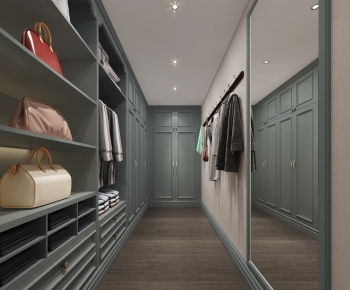 American Style Clothes Storage Area-ID:797709942