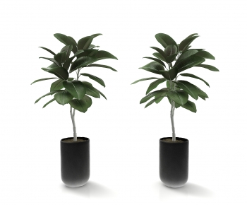 Modern Potted Green Plant-ID:101380117