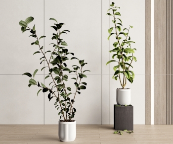 Modern Potted Green Plant-ID:941931965