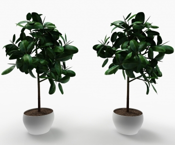 Modern Potted Green Plant-ID:573206907