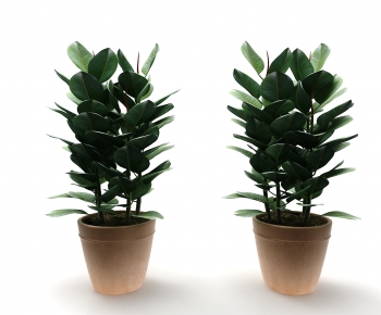 Modern Potted Green Plant-ID:791517971