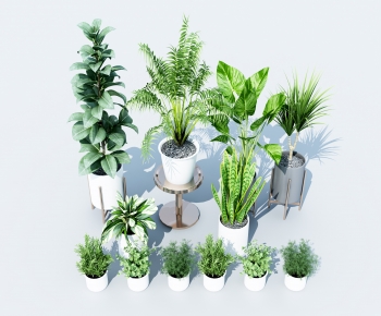 Modern Potted Green Plant-ID:128518104