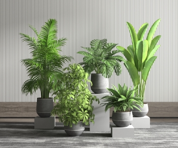 Modern Potted Green Plant-ID:177122126