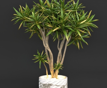 Modern Potted Green Plant-ID:712050915