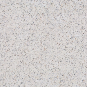 ModernTerrazzo