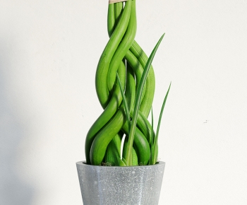 Modern Potted Green Plant-ID:363028052