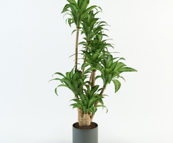 Modern Potted Green Plant-ID:266861929