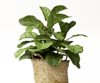 Modern Potted Green Plant-ID:788000114