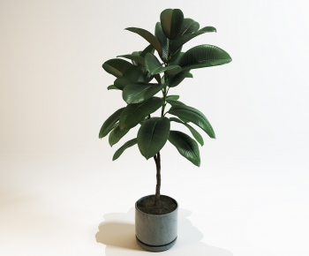 Modern Potted Green Plant-ID:753056052