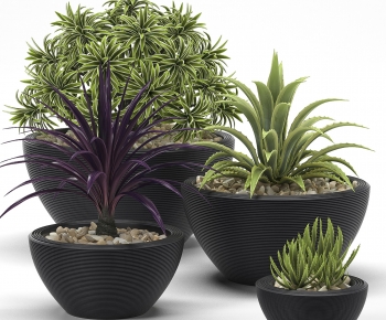 Modern Potted Green Plant-ID:633194922
