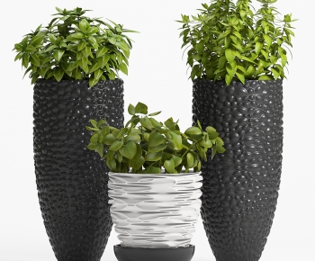 Modern Potted Green Plant-ID:563090099