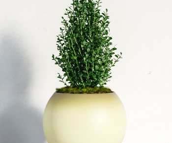 Modern Potted Green Plant-ID:817995071