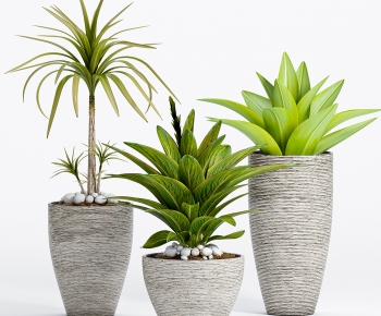 Modern Potted Green Plant-ID:515914926