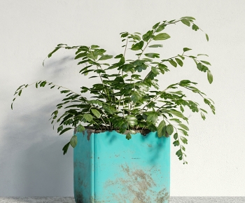 Modern Potted Green Plant-ID:193299069