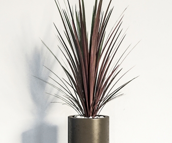 Modern Potted Green Plant-ID:775022983