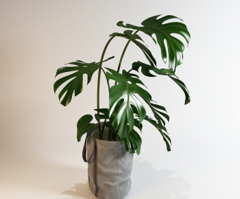 Modern Potted Green Plant-ID:922175888