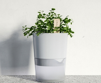 Modern Potted Green Plant-ID:828098067