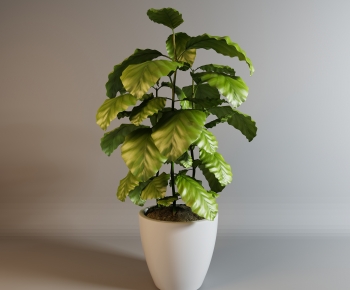 Modern Potted Green Plant-ID:846654895