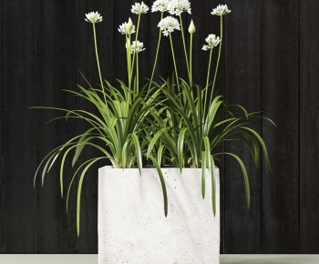 Modern Potted Green Plant-ID:563867095