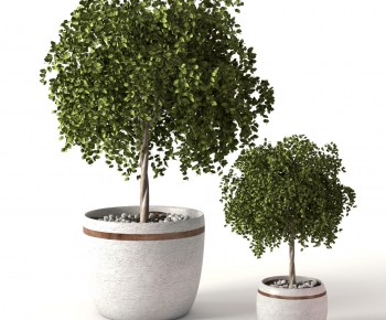 Modern Potted Green Plant-ID:862885004