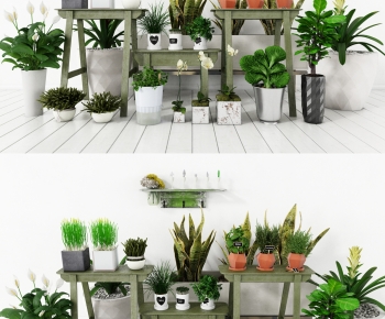 Modern Potted Green Plant-ID:991082916