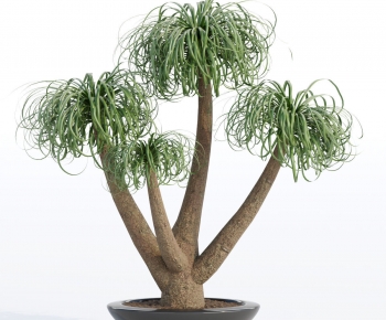 Modern Potted Green Plant-ID:914239883