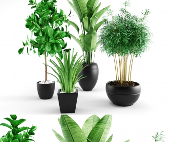 Modern Potted Green Plant-ID:374164107