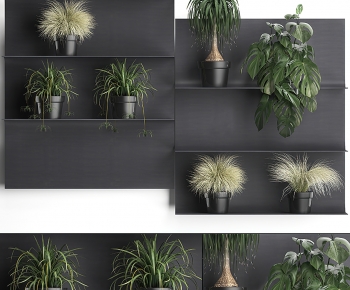 Modern Potted Green Plant-ID:202519957