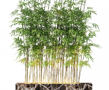 Modern Bamboo-ID:325490008