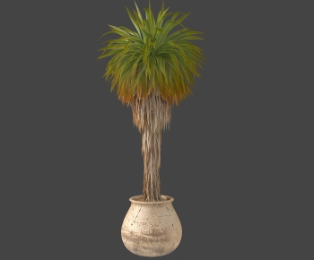 Modern Potted Green Plant-ID:703380122