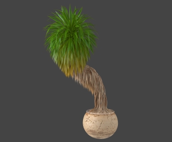 Modern Potted Green Plant-ID:135540019
