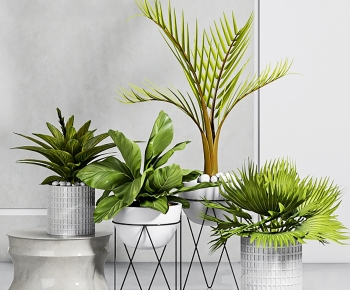 Modern Potted Green Plant-ID:484859941