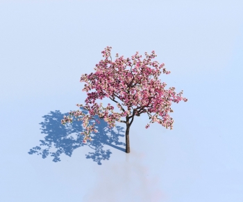 Modern Tree-ID:224231964