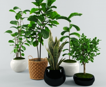 Modern Potted Green Plant-ID:889995101