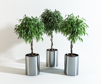 Modern Potted Green Plant-ID:332813989