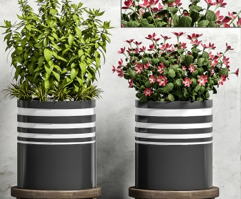 Modern Potted Green Plant-ID:982518915