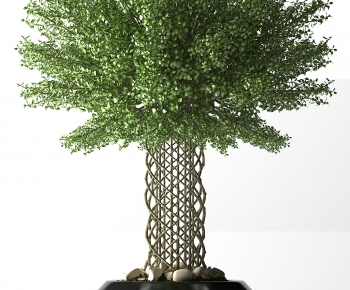 Modern Potted Green Plant-ID:746641283