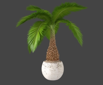 Modern Potted Green Plant-ID:434076075