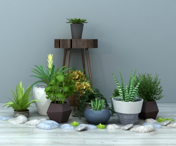 Modern Potted Green Plant-ID:416323905