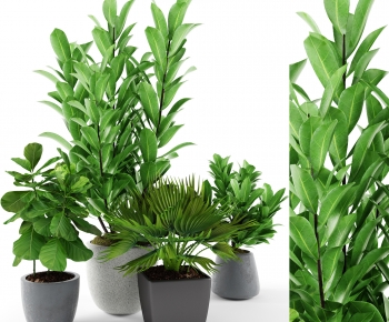 Modern Potted Green Plant-ID:844165095