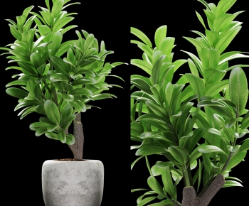 Modern Nordic Style Potted Green Plant-ID:415551904