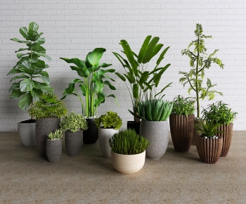 Modern Potted Green Plant-ID:346252927