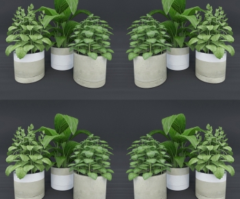 Modern Potted Green Plant-ID:728008036